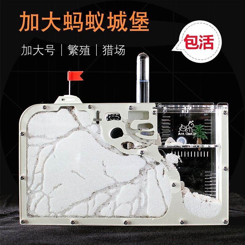 新型蚂蚁城堡 工坊宠物繁活体蚁巢亚克力沙巢家园别墅宫殿送工具