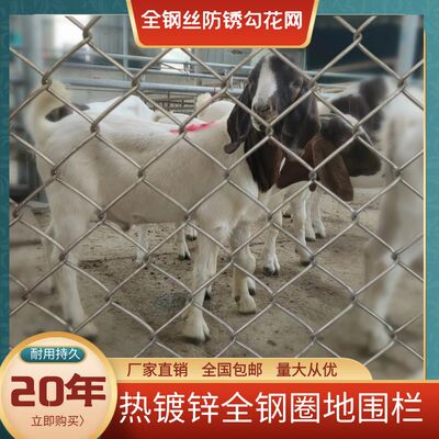 推荐镀锌铁丝网围栏勾花网养殖牛羊栏网养鸡护栏防护隔离网养狗钢