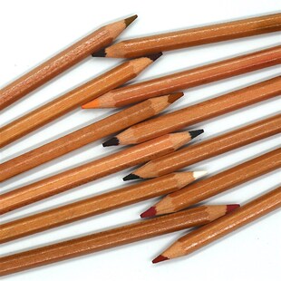 Professional 12Pcs Soft Pastel Pencil Set Wood Skin Color Pa