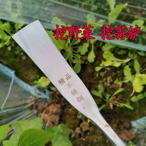铲刀 锰钢挖野菜挖蒜专用铲子野外挖蒲公英挖荠菜挖笋折耳根剜蒜