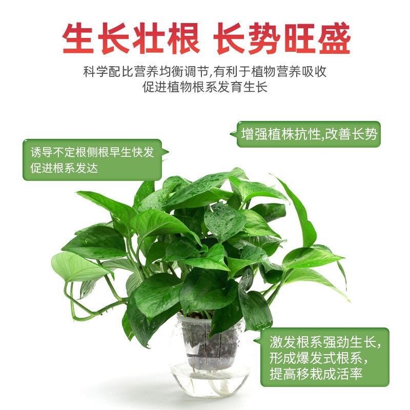 生根粉微生物肥生根壮v苗改善土壤平衡吸收叶面肥速生护根正品