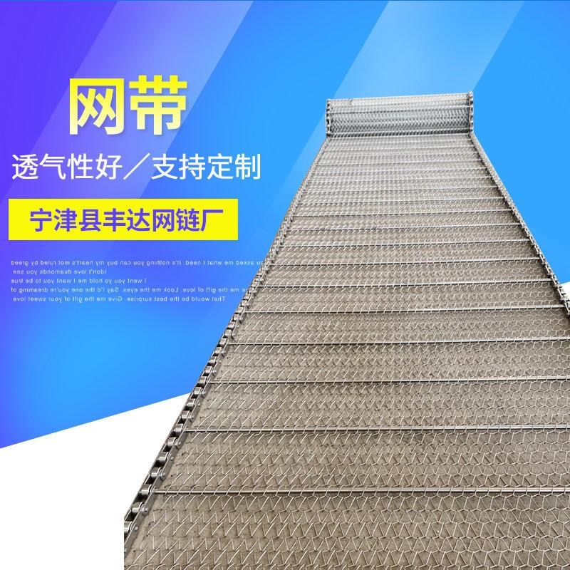 304不锈钢网带网链 宁津清洗机可用输送网带 烘干用螺旋网带