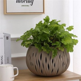 吊盆花盆悬挂式 造型藤编吊篮花盆吊兰绿萝常春藤加厚挂盆 塑料个性