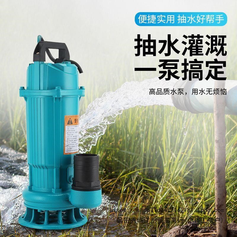 农用灌溉2d20v鱼塘小型潜水抽水机清水潜水泵污水泵高扬程大流量