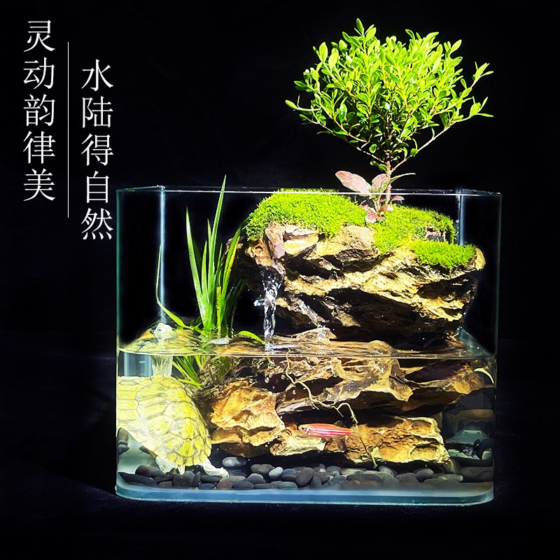 微景观六月飞雪懒人苔藓雨林缸大号办公室宿舍桌面生态瓶植物礼物图片