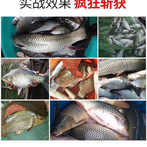 小众高货浮水颗粒0.15#泡泡球耐揉打泡漂浮黄金豆黑坑回锅滑口鲫