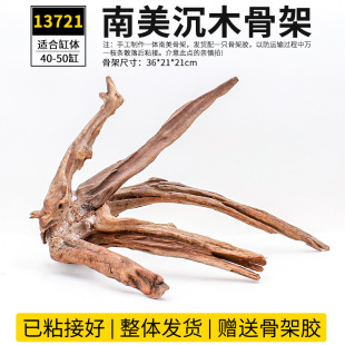 鱼缸小型南美造景沉木骨架树枝木头水草全套成品一体水.族草缸装