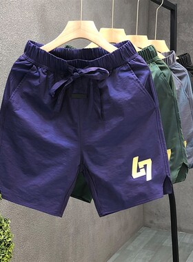 夏季款高级感紫色爆款速干休闲运动短裤男士潮牌五分裤外穿沙滩裤