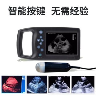 兽用b超机宠物b超机无线探头测牛羊猪怀孕母猪验孕仪便携彩超机器