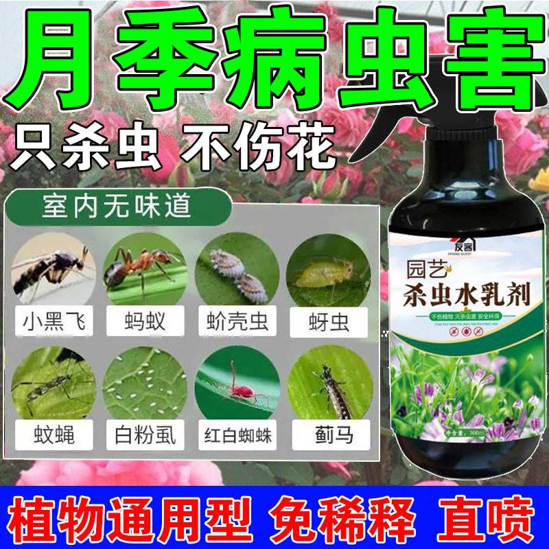 推荐月季花病虫害常用药杀虫剂家用室内无毒无味花药杀虫剂通用小