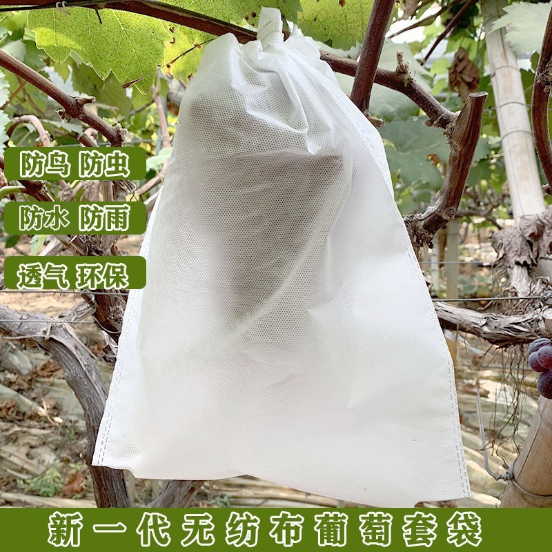 无纺布葡萄套袋 防虫防鸟透气y套袋 新一代葡萄包装袋 耐撕防水好
