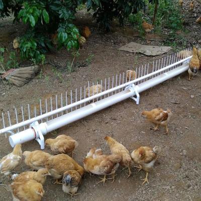 热销鸡舍设备喂鸡水槽养鸡用的自动鸡喝水的自动猪饮水嘴养殖场喂