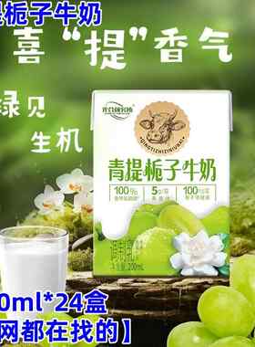 官方正品青提栀子牛奶200ml*24盒光合研究所太子早餐奶全网都在找