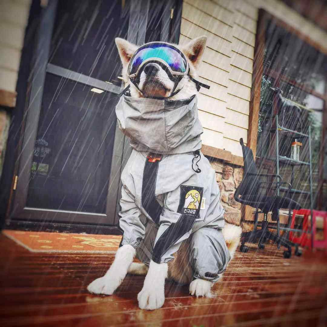 狗狗雨衣大型犬雨披金毛边牧狗狗雨衣四脚防水全包围狗狗雨天衣服