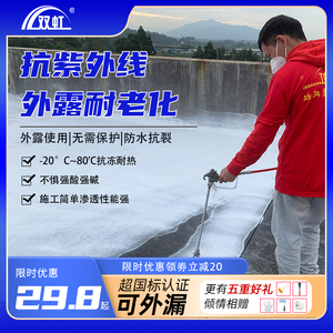 双虹防水涂料堵漏王屋顶补漏卫生间地面高弹抗裂宝外墙防水材料