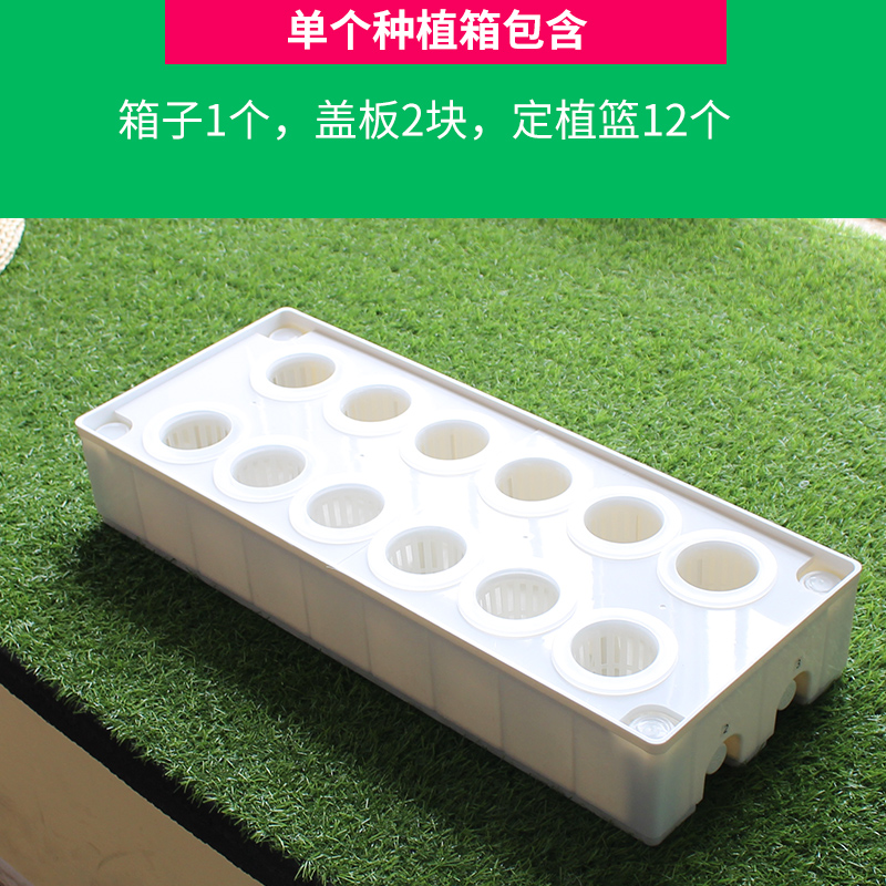 阳台无土栽培蔬菜种植机水培种植箱家用种菜室内家庭水耕设备