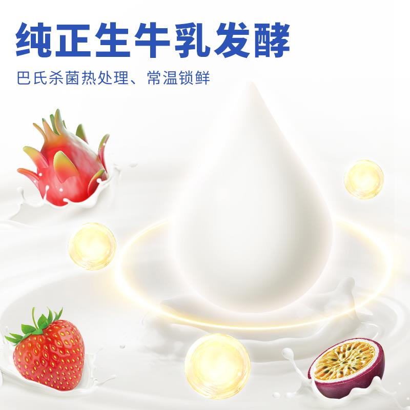 新货菊乐嚼酸奶菊乐牛奶蓝莓燕麦黄桃酸奶冰淇淋果味酸奶代餐点心