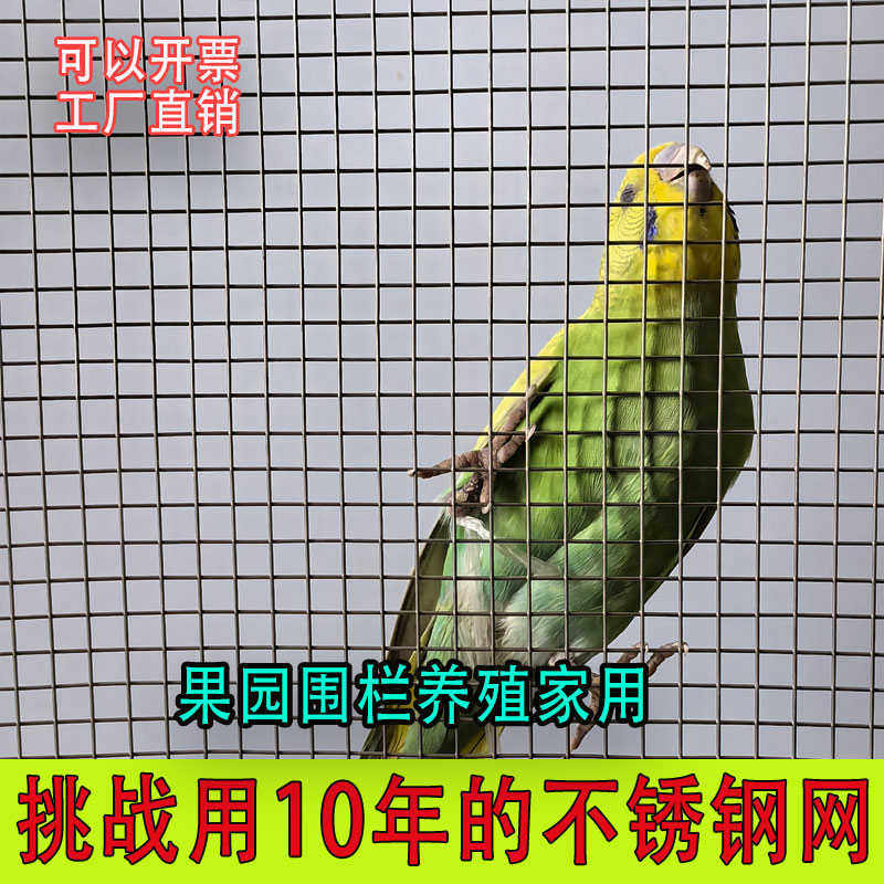 养殖围网钢丝防护网加粗不锈钢网304围栏网电焊护栏网片阳台焊接