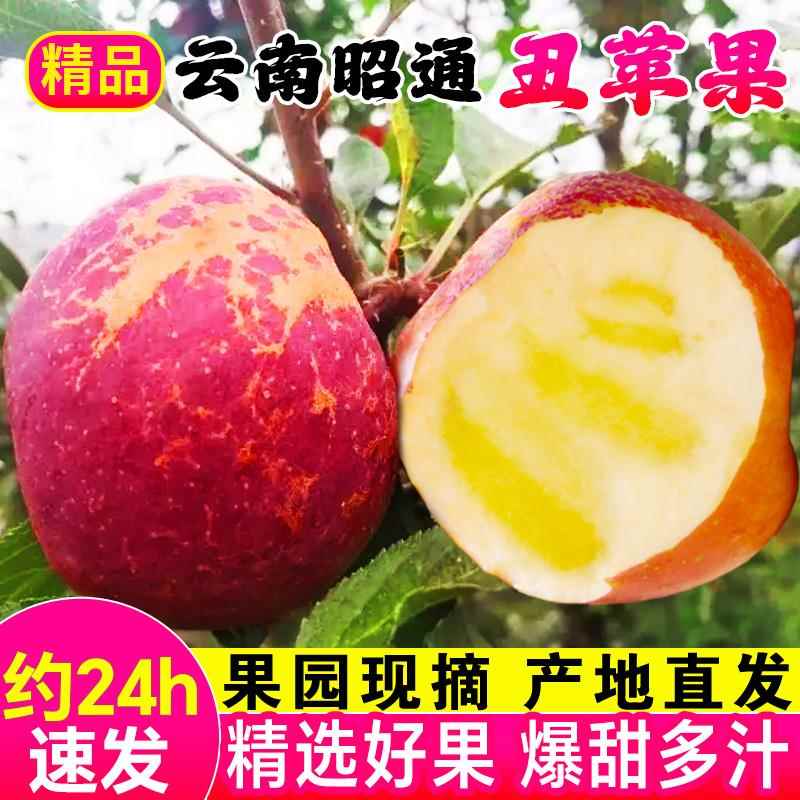 速发露富昭通丑苹果冰糖心苹果新鲜水果礼盒当季整箱10斤红云南士