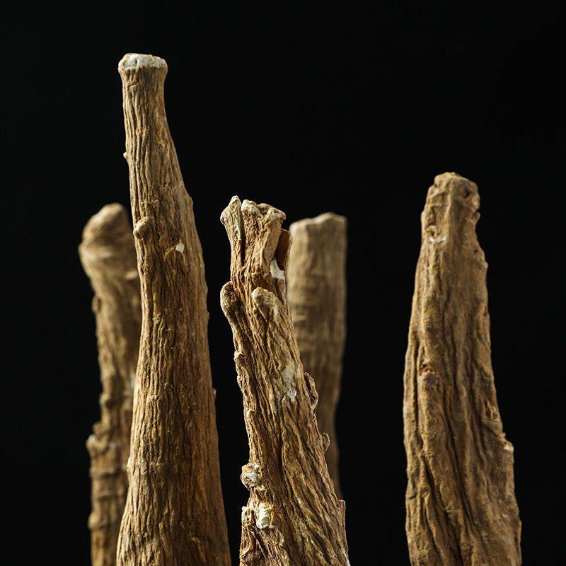 新货同仁堂中药材白芷 正品四川野生白芷 整个白芷 新鲜干货无硫