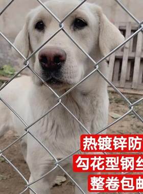 镀锌钢丝网围栏网防护网养殖牛羊猪护栏网圈地围果园铁丝网勾花网