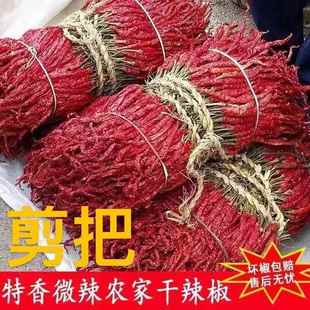新疆特产微辣特香二荆条辣皮子不辣的干辣椒线椒辣椒粉辣椒段日晒