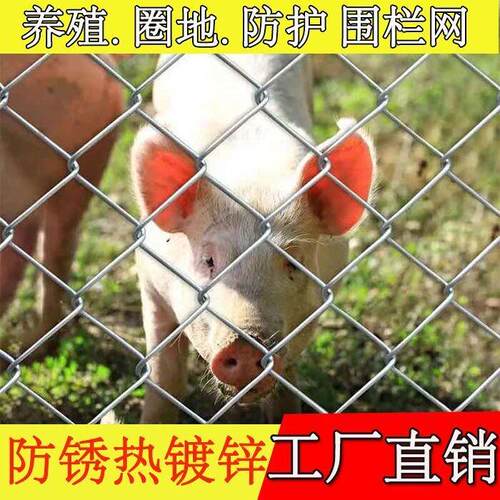 镀锌钢丝网围栏网防护网养殖牛羊猪护栏网圈地围果园铁丝网勾花网