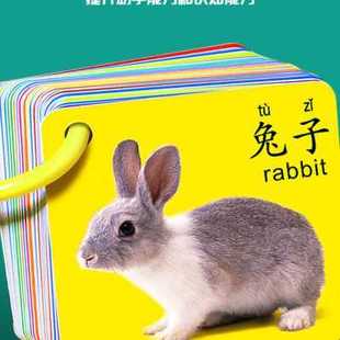 塑封机幼儿园安静书制作封膜机过塑机家用小型过胶机封塑机照片压