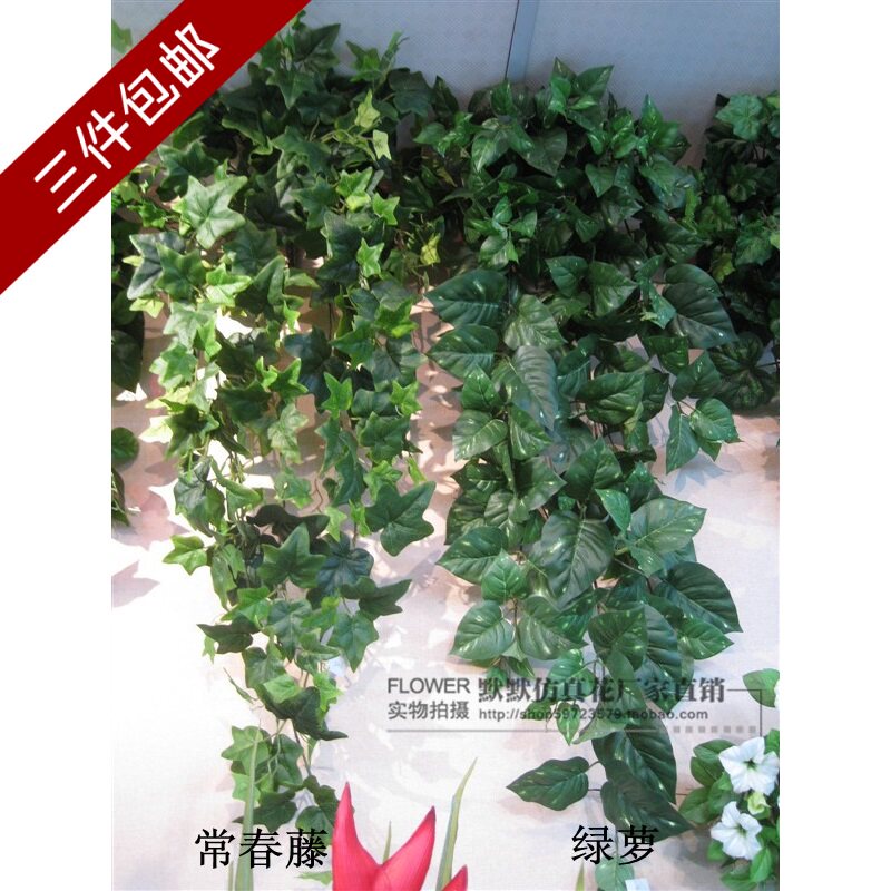 长1米大叶片仿真植物叶子壁挂藤条墙上装饰绿叶/万年青/绿萝