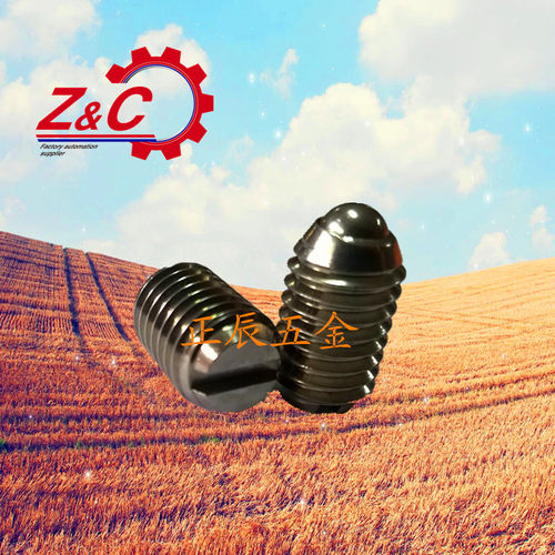 Z371/4*9/5*12/6*14/8*16/10*19 不锈钢一字槽球头柱塞/波珠螺丝