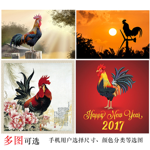 订做大公鸡贴画动物画海报订做鸡年海报金鸡打鸣 金鸡报晓墙画