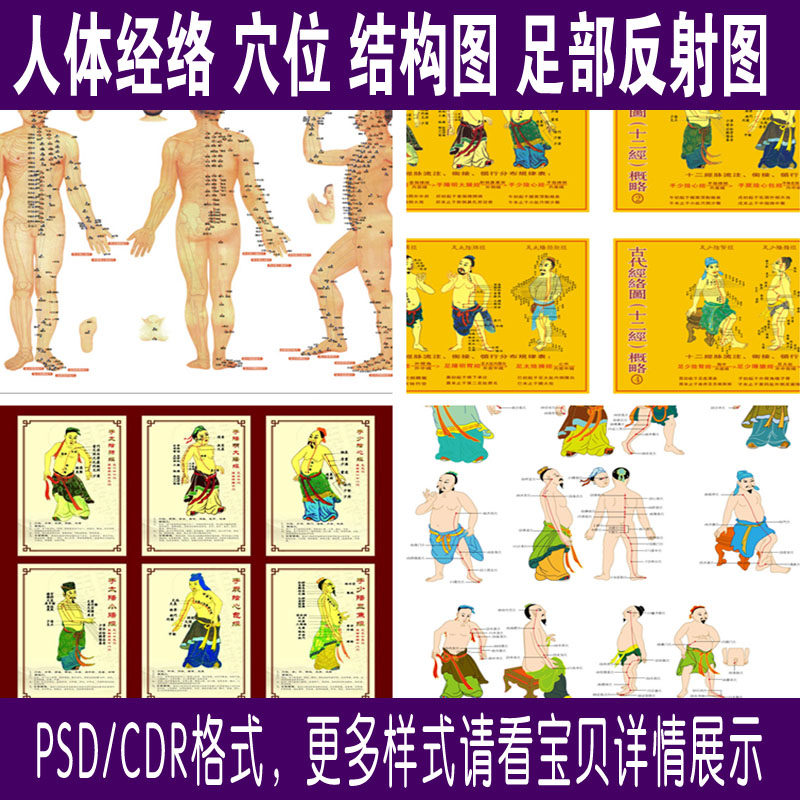 网传人体经络素材 人体穴位图片人体结构图 展板足部反射图电子版