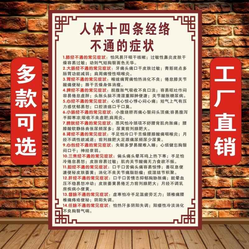 中医养生美容院海报十四条经络不通针灸艾灸人体经络穴位图挂图