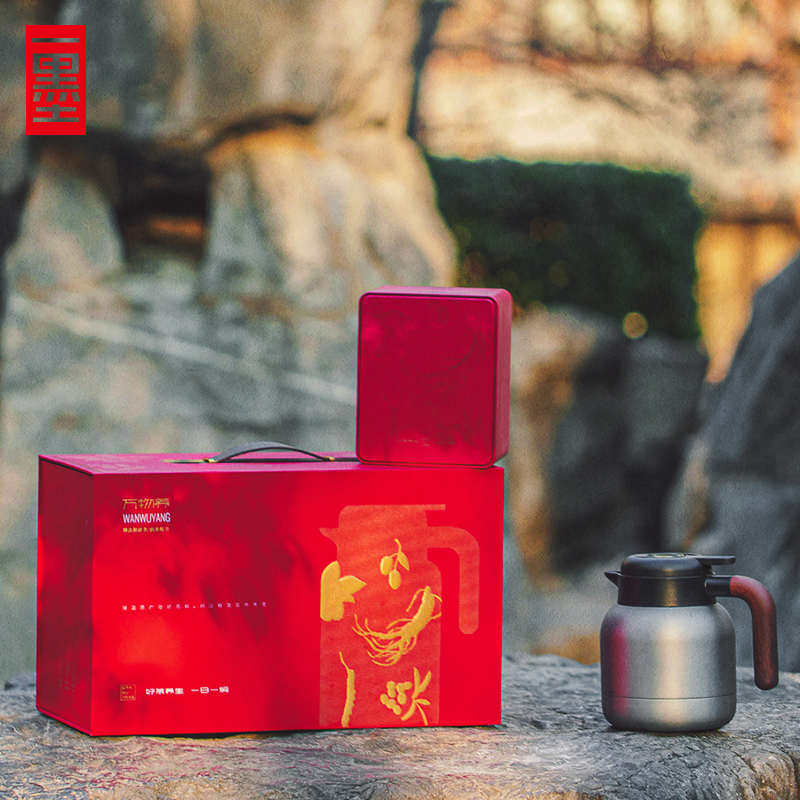 高档万物养焖茶壶包装新年礼盒套装散茶罐茶礼饼礼品企业公司定制,包装,年货礼品包装,淘宝优惠券,粉丝福利购,淘宝优惠卷