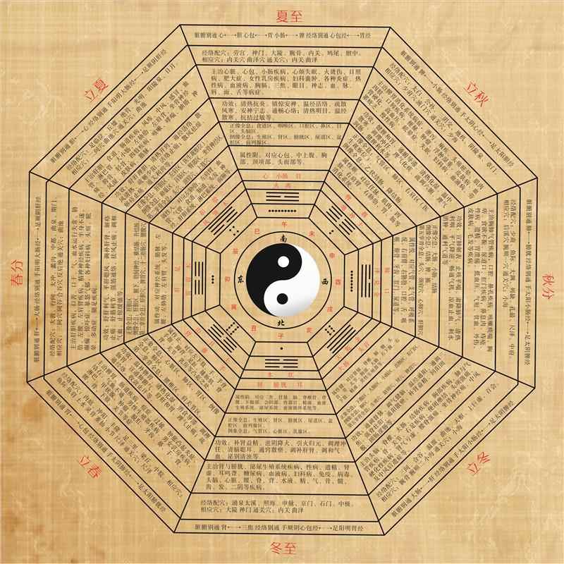 中医四季养生太极医疗八卦图经络养生馆油画布美容院挂图详解图