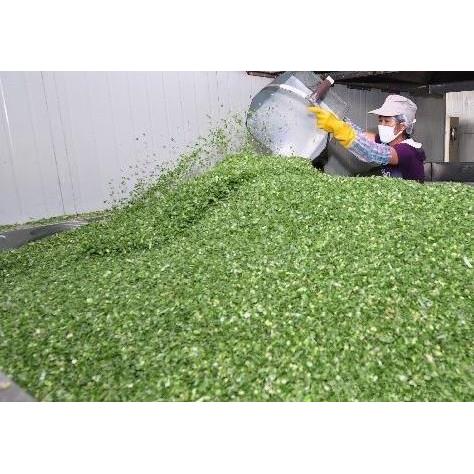 优质脱水干葱香葱片香葱碎片烘焙调料方便面干燥珠葱花500g包邮