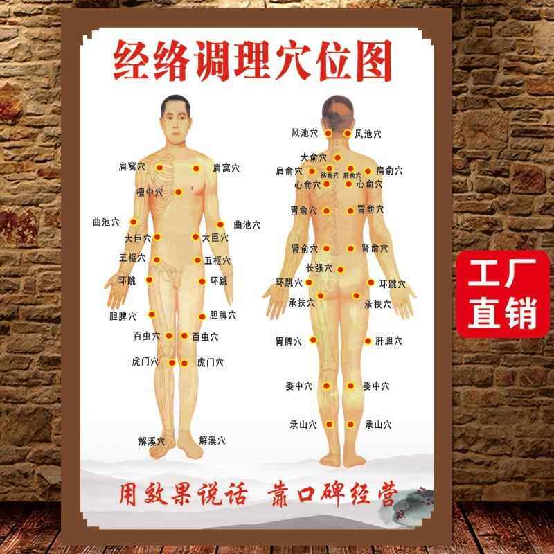 经络调理穴位图海报人体经络大挂图全身高清中医养生艾灸推拿拔罐