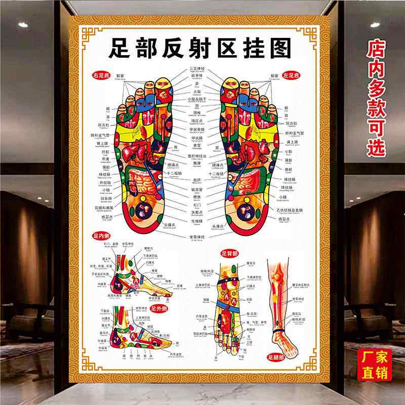 足部反射区挂图足脚底按摩保健足疗足浴拔罐艾灸经络穴位图解海报