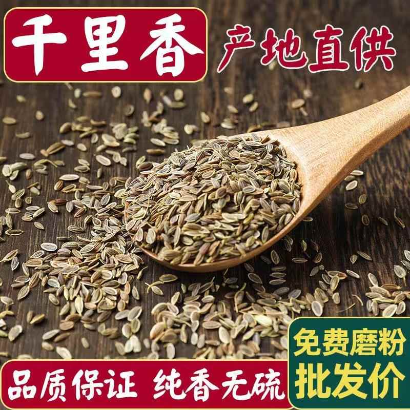 正宗正宗千里香千里香籽百里香万里香莳萝籽调料香料烤肉撒料卤料