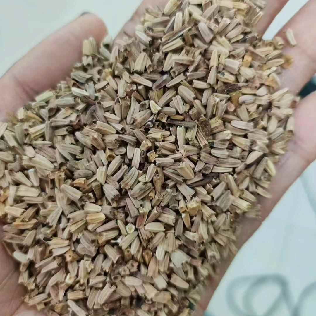 松果菊种子籽紫锥花易花卉草花种子宿根活花种5四季花花种子