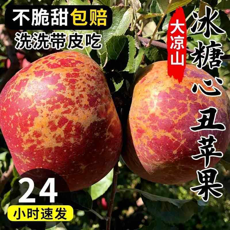 新货四川大凉山丑苹果冰糖心新鲜水果盐源苹果10斤整箱礼盒装当季