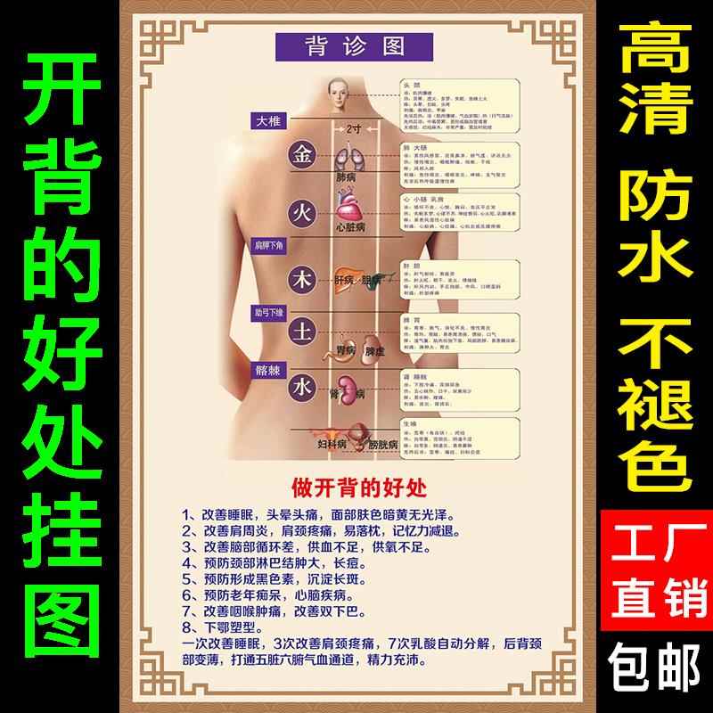 背诊图美容院中医养生馆宣传画 五脏六腑背部反射区功效挂图海报