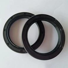 D50 D20 XUE01 d40 18精 油封 C10 D52 D60 D28 D30 D35