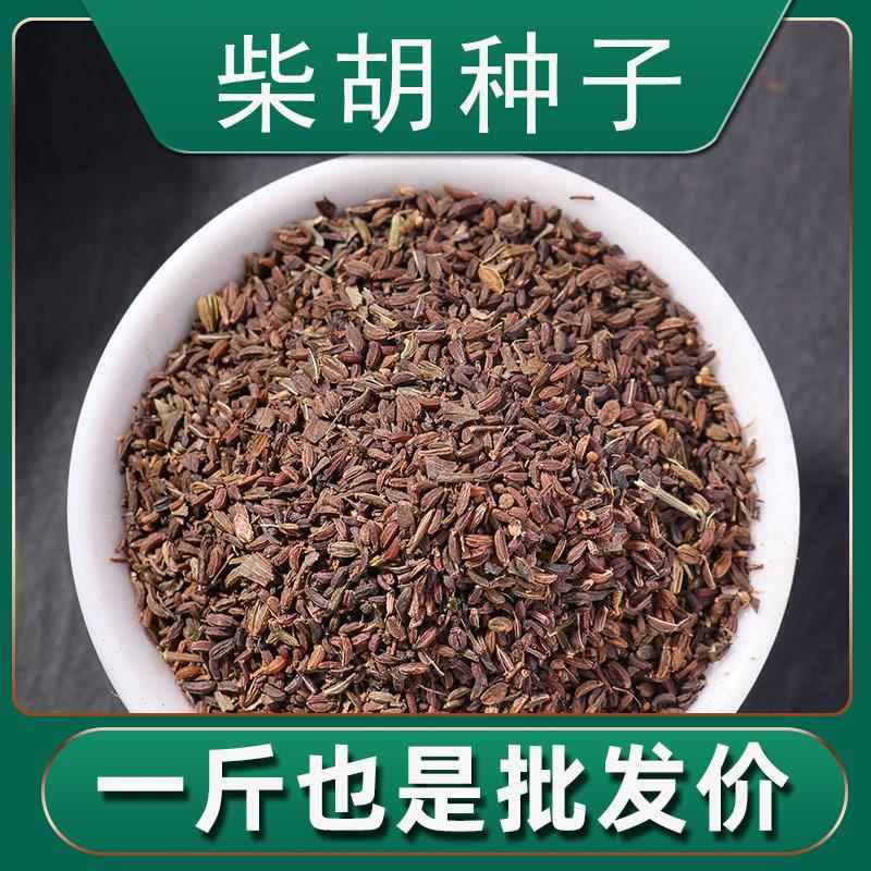 北柴胡种籽中药材北红黑种子柴胡种植苗散装春季秋季阳台药材种苗