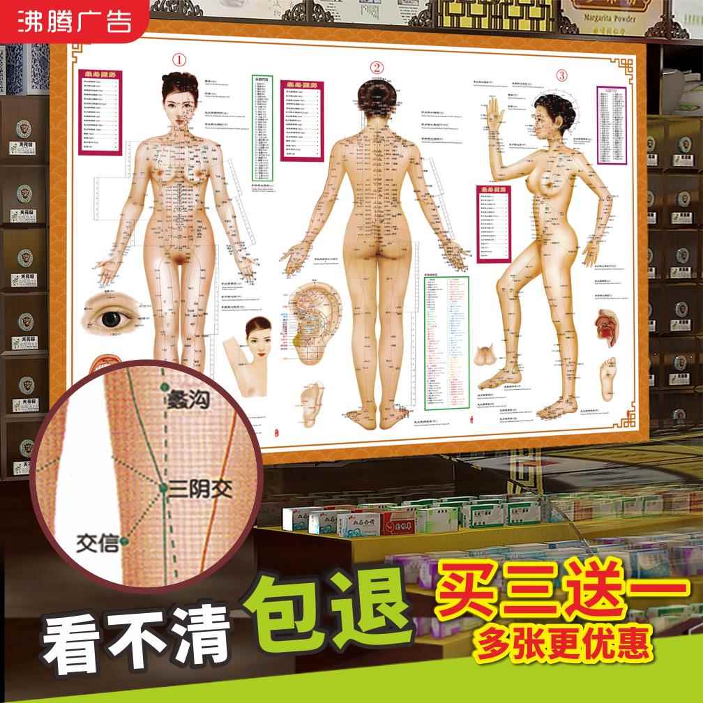 中医养生针灸艾灸穴位图人体经络穴位图人体经穴与病症对照图挂图