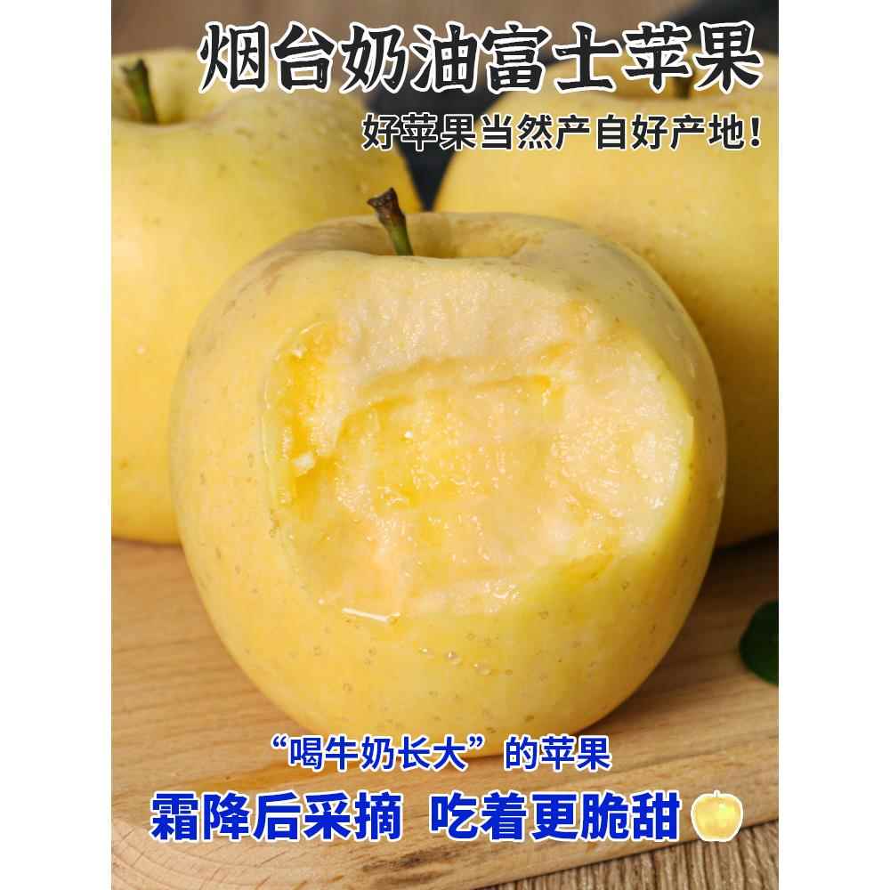 新货山东烟台黄金奶油富士苹果正宗栖霞水果礼盒新鲜当季现摘整箱