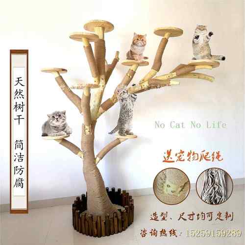 高档实木猫爬架耐毛磨物不粘窝原木枯树干大型抓板爬树宠玩具跳台