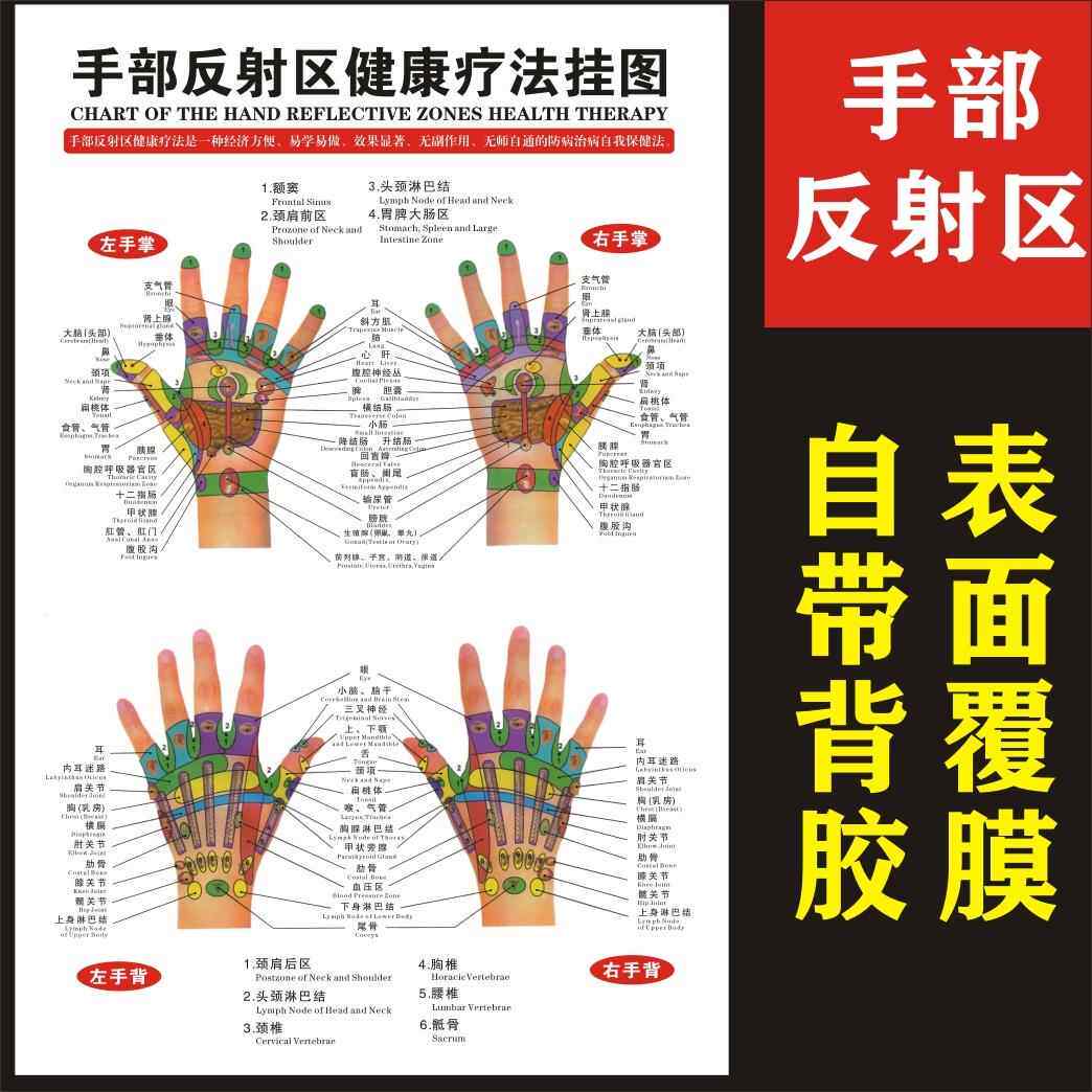 手部反射区健康疗法挂图耳部足部足疗经络穴位图中医养生保健海报