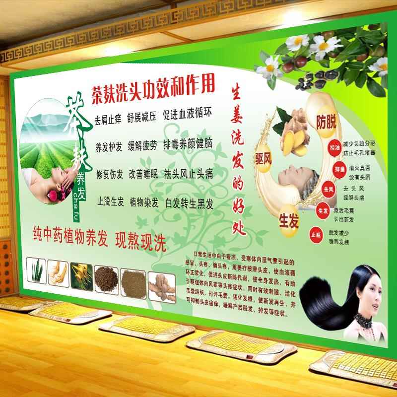 茶麸养发中草药自粘姜疗洗发自带背胶海报生姜洗头宣传墙贴画写真