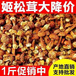 姬松茸干货500g云南特产巴西菇松茸野生菌新鲜煲汤材料真无硫本色